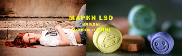 PSILOCYBIN Бородино