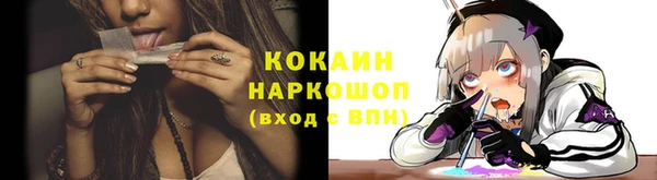 PSILOCYBIN Бородино